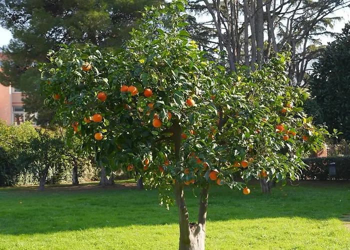 Апартаменты Manilu Maison